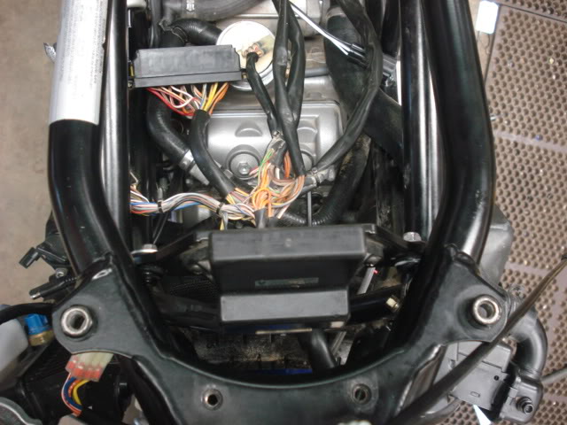 o2 Oxygen Lambda Sensor Eliminator KTM 990 ADVENTURE 06-13 990 SUPERMOTO SMR/SMT 